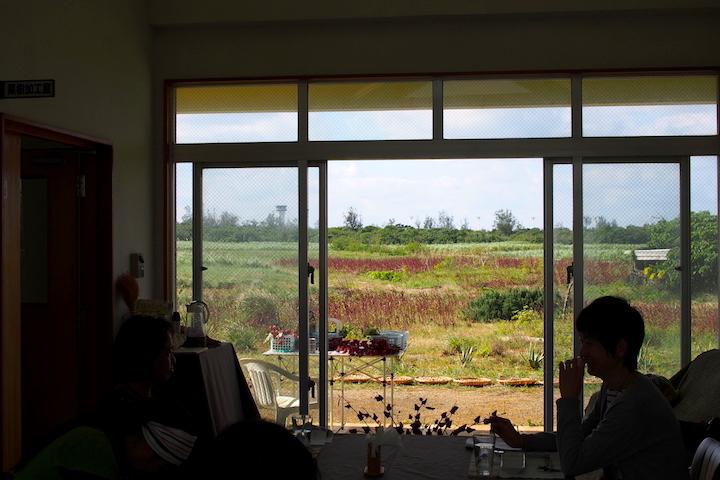 畑を眺めながらのランチタイム