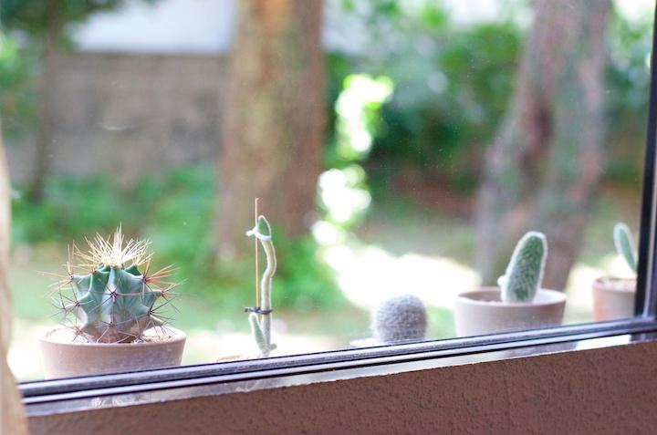 茜陶房からの眺め