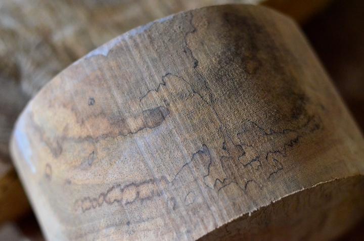 樟（くすのき）