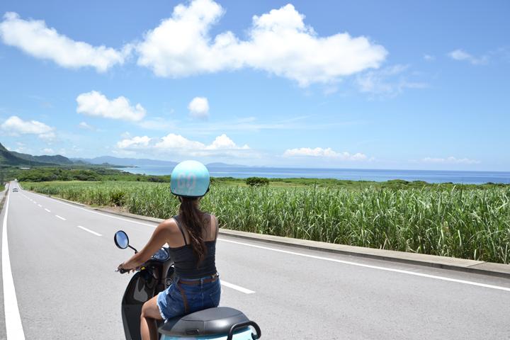 平久保崎（ひらくぼさき）手前の1本道