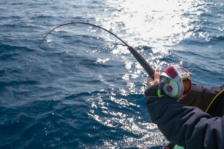 沖釣り体験中