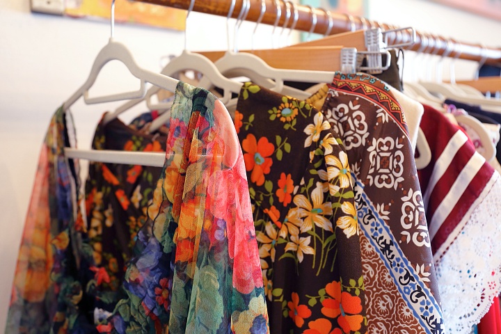 alocasia vintage(アロカシア ヴィンテージ)