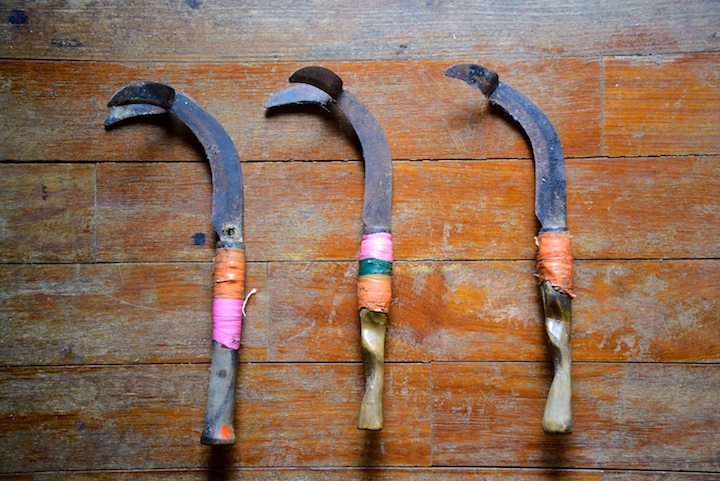 サトウキビ刈りの鎌