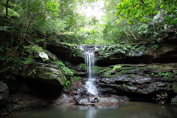 西表島のクーラの滝