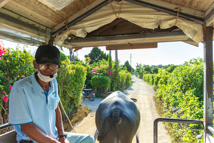 竹富島(たけとみじま)