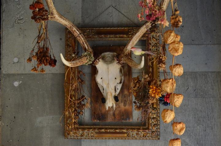 運天食堂ディスプレイ