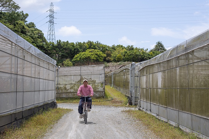 ファインフルーツおおぎみ