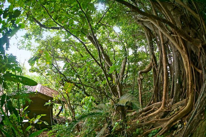 ヴィラ さちばる