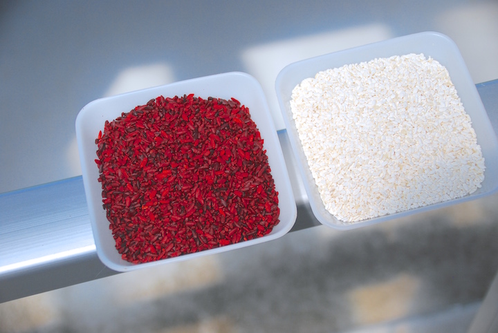 紅麹あまざけの麹