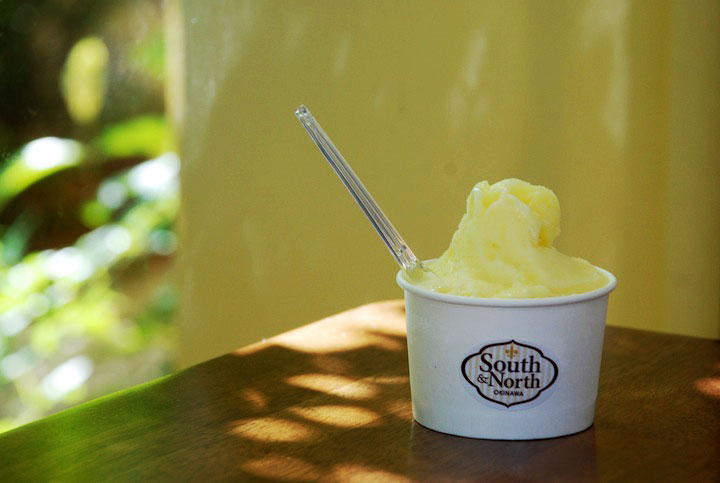 South and Northジェラート