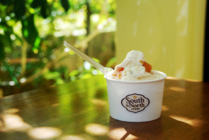 South and Northのジェラート