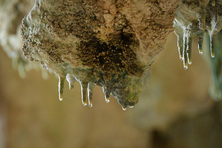 ガンガラーの谷