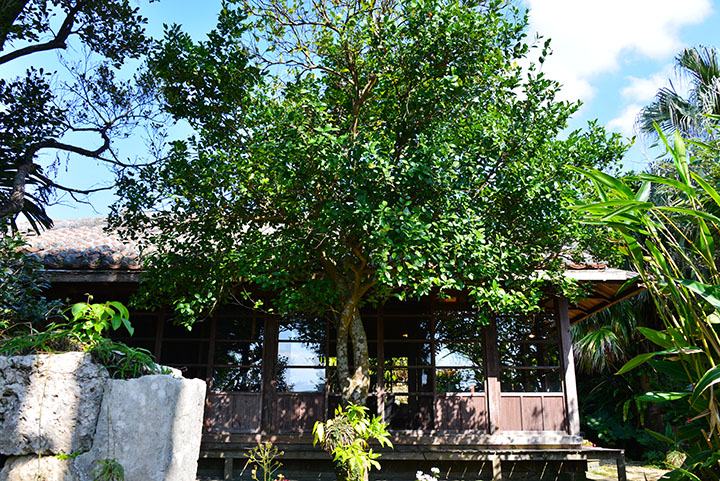 首里の高台にあるしむじょう