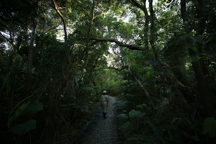 大庫理(ウフグーイ)への道