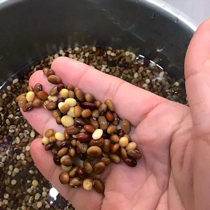 ゲダイズ（下大豆）