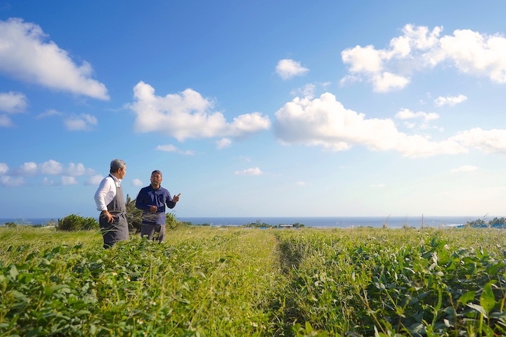 ゲダイズ（下大豆）畑