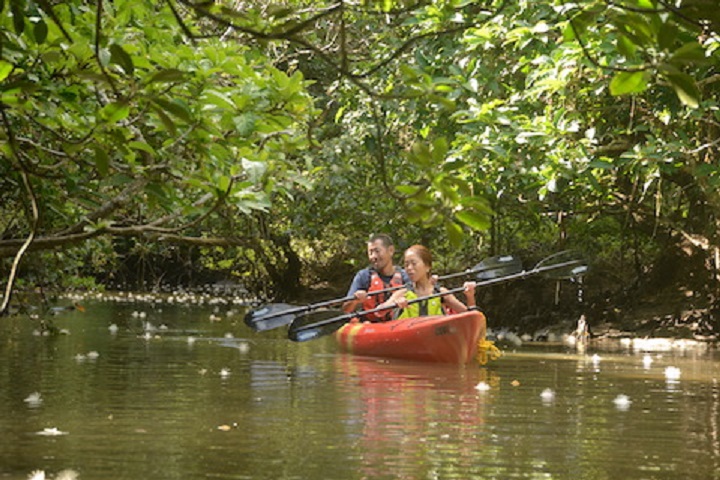 散って落ちるサガリバナの花