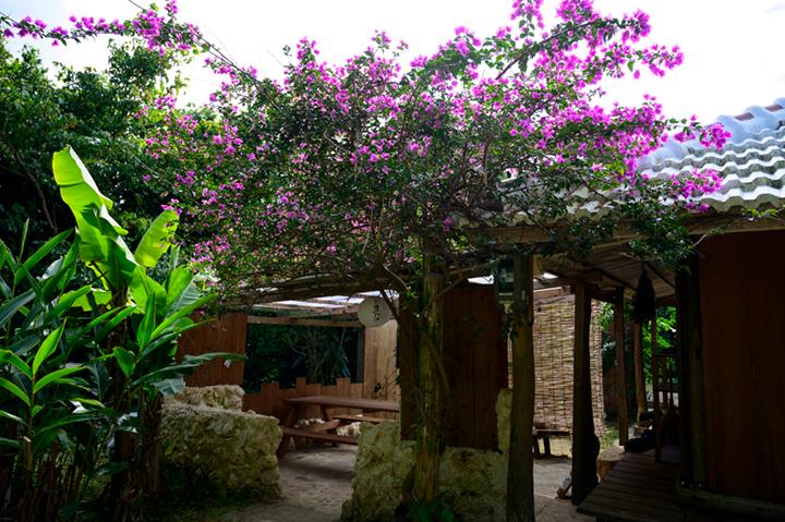 今帰仁（なきじん）村の集落にある「今帰仁そば」