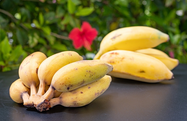 「琉球もちっ娘®バナナス」